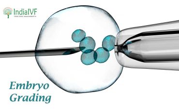 Embryo-Grading