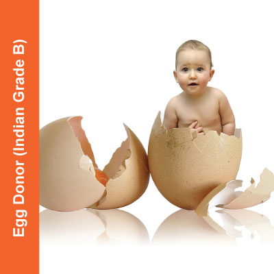 Egg-Donor-(Indian-Grade-B)