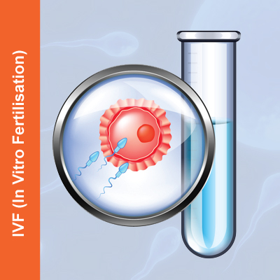 IVF-(In-Vitro-Fertilisation)