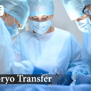 Embryo-Transfer