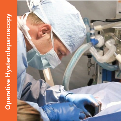 Operative Hysterolaparoscopy