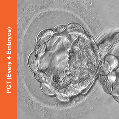 PGT-(Every-4-Embryos)