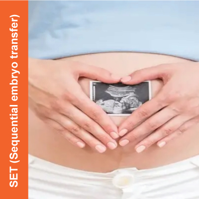 SET-(Sequential-embryo-transfer)